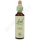 Bach Flower Remedies for Animals - Gorse